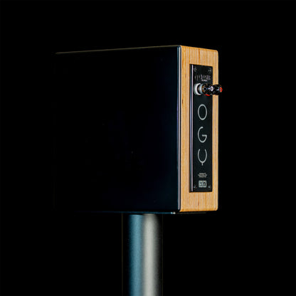 Closer Acoustics OGY &