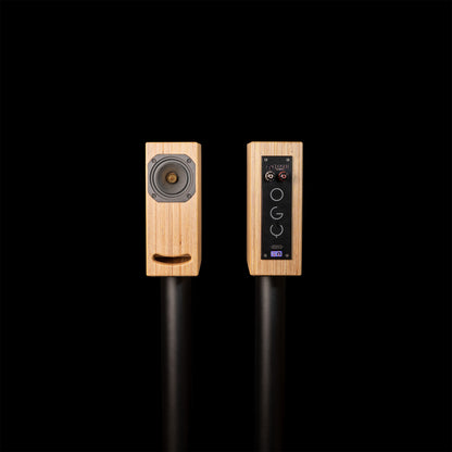 Closer Acoustics OGY - Pair