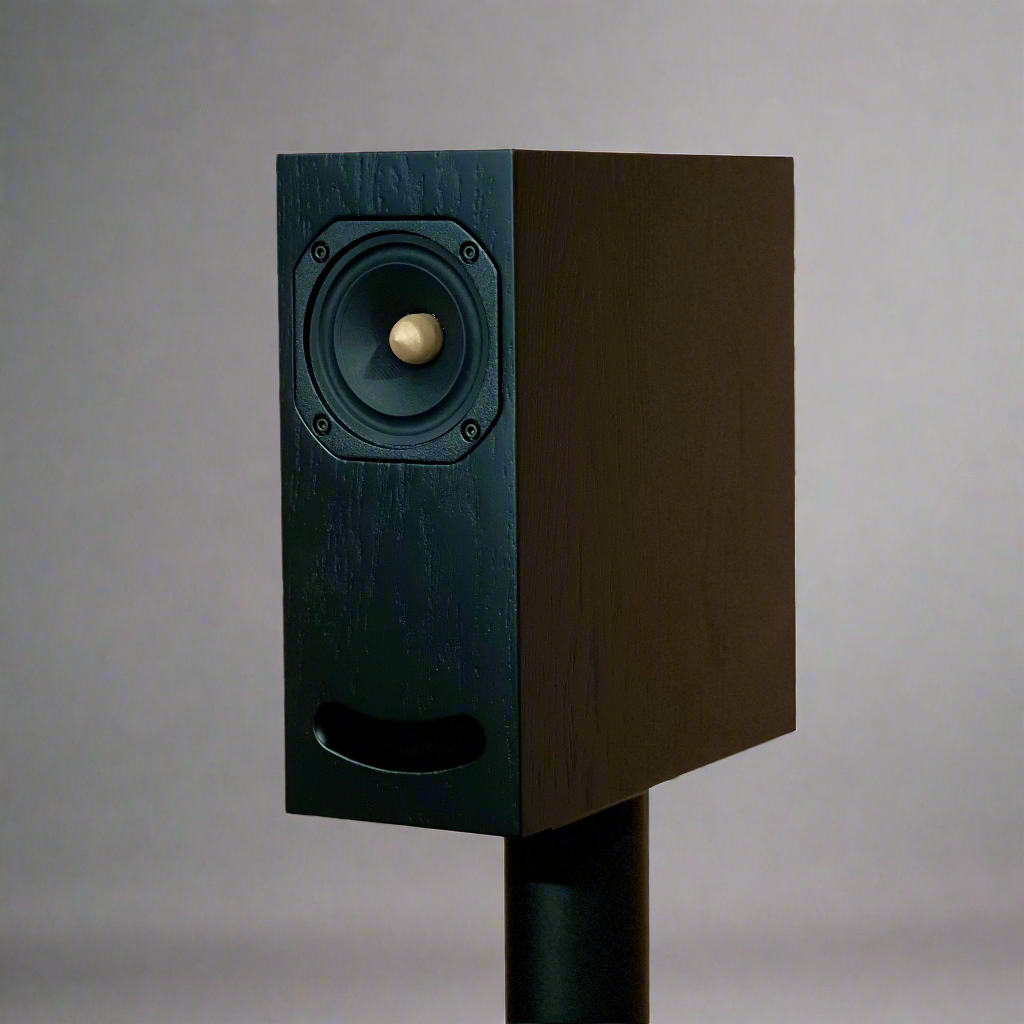 Closer Acoustics OGY black painted oak loudspeaker – minimalist design with a sophisticated black finish, combining style and outstanding audio performance