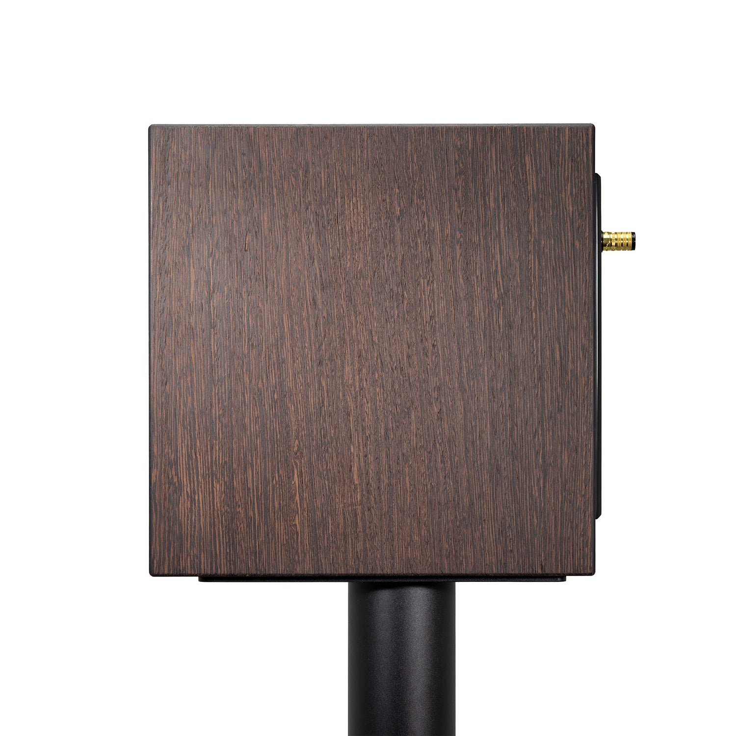 Enceintes bibliothèque Closer Acoustics OGY -paire- finition contreplaqué bouleau