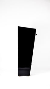 Closer Acoustics Allegra EX loudspeakers – pair – back view highlighting the field coil technology and speaker connections