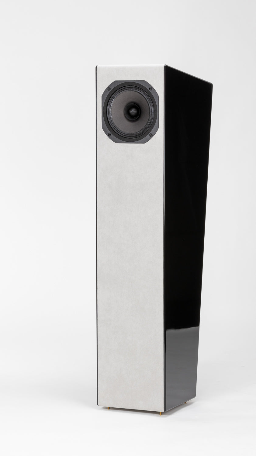 Closer Acoustics Allegra EX (field coil) loudspeakers – detailed close-up of speaker terminal connections