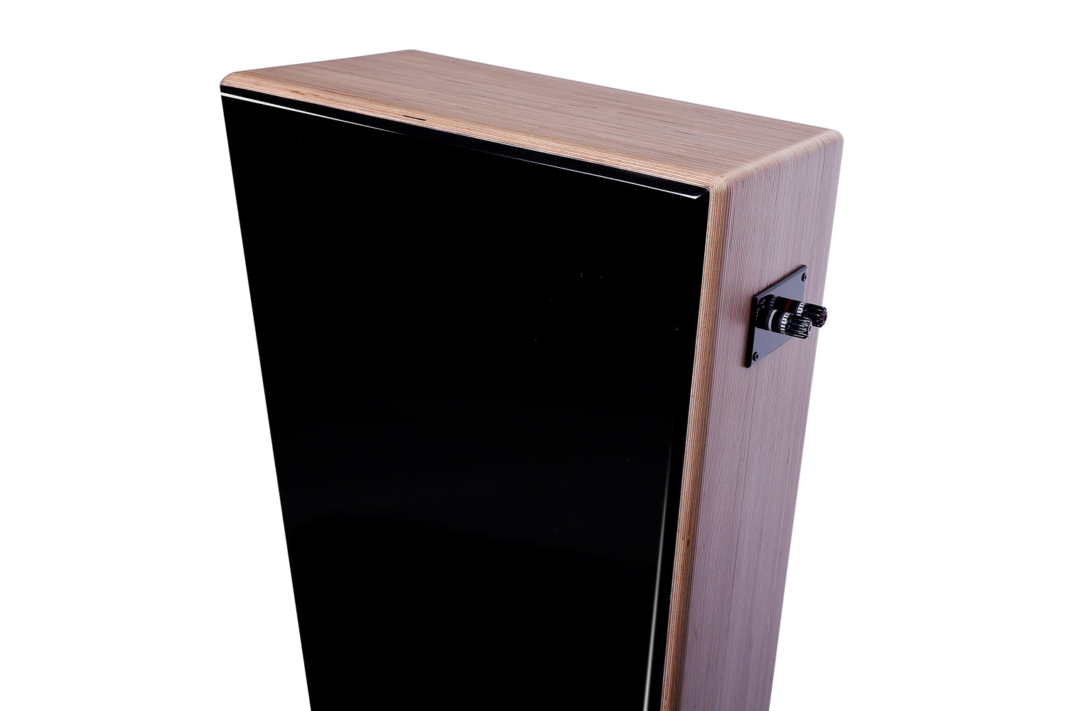 Closer Acoustics Allegra Classic loudspeakers – back view with detailed shot of speaker connections and craftsmanship