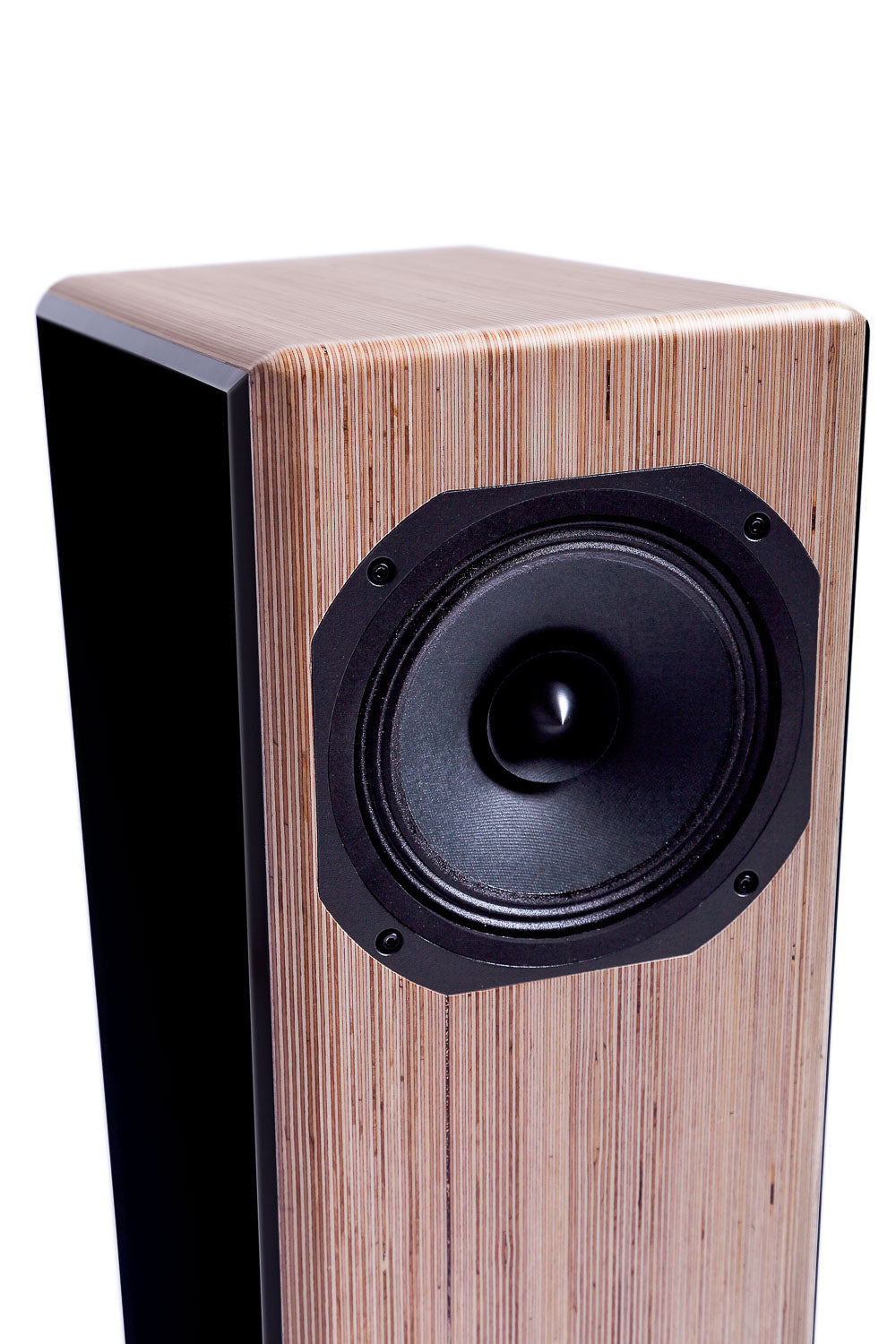 Closer Acoustics Allegra Classic loudspeakers – close-up of speaker with attention to detail and craftsmanship