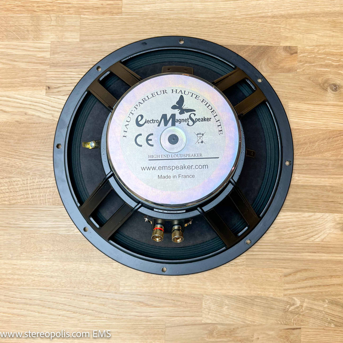 Rear view of EMS LB 12 MKII 8 Ohm full-range speaker drivers