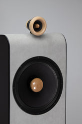 Closer Acoustics VIGO EX loudspeakers – close-up of the speaker from the front, showcasing the craftsmanship and audio technology