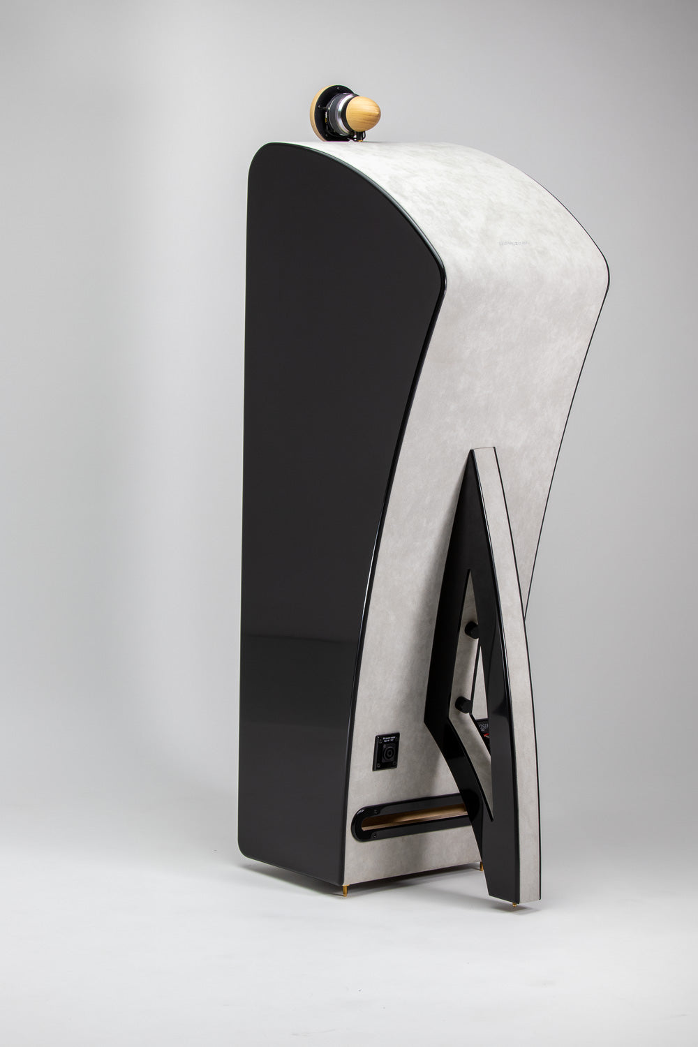 Closer Acoustics VIGO EX loudspeakers – rear view focusing on the sturdy support and sleek design of the speaker