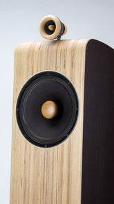 Close-up driver Closer Acoustics VIGO Classic loudspeakers – sleek, modern aesthetic