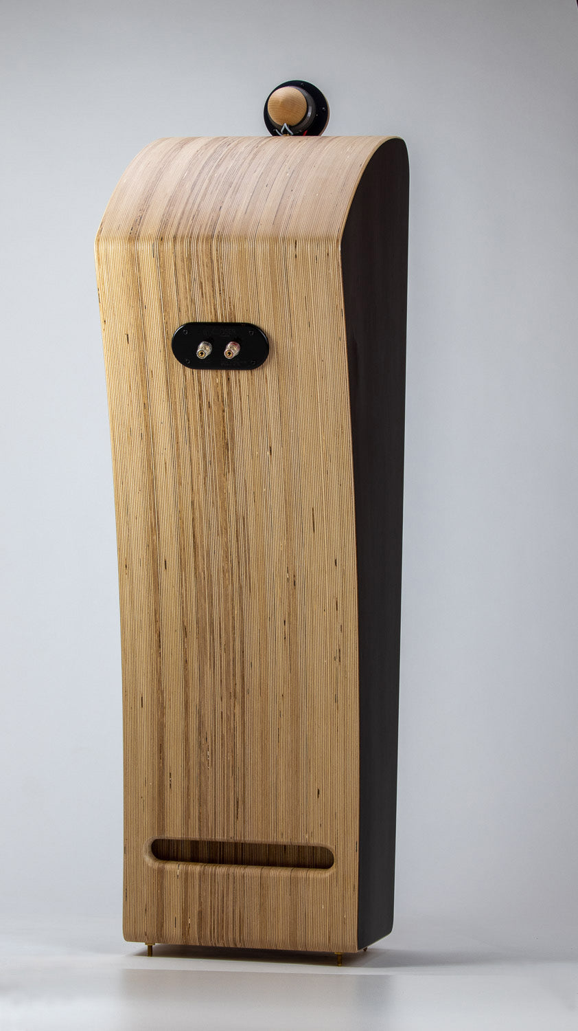Closer Acoustics VIGO Classic speakers – rear view with connectors