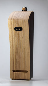 Closer Acoustics VIGO Classic speakers – rear view with connectors