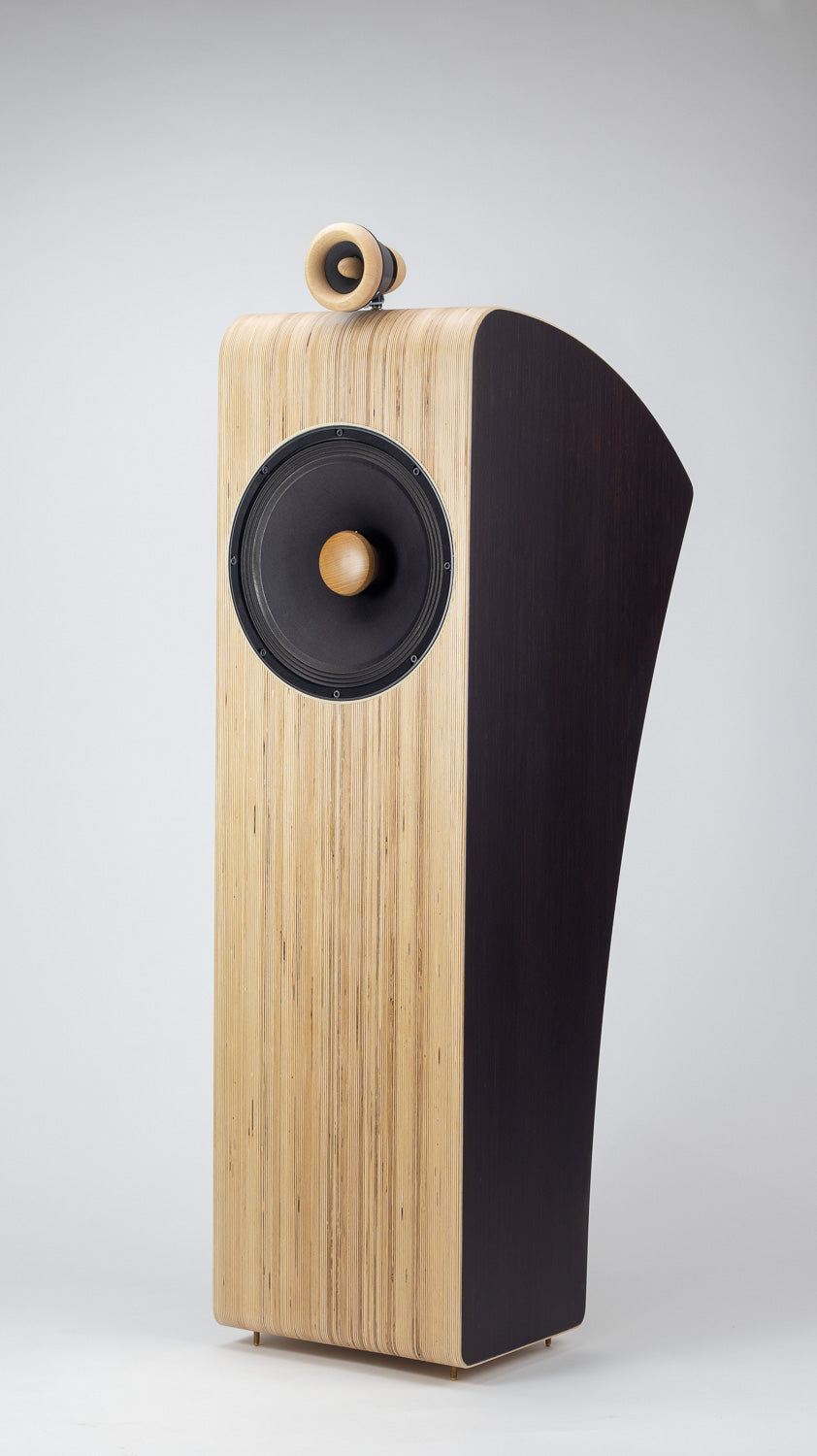 Closer Acoustics VIGO Classic loudspeakers – close-up of tweeter and woofer