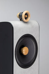 Close-up of the driver and tweeter on the Closer Acoustics VIGO Classic loudspeaker, highlighting the advanced audio technology and the refined sound quality